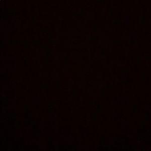 Meet your Posher, Rylee